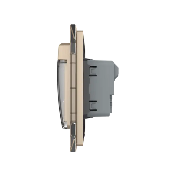 Livolo | Goud | SR | Wandcontactdoos | Zonder randaarde | IP44 Livolo Nederland B.V.