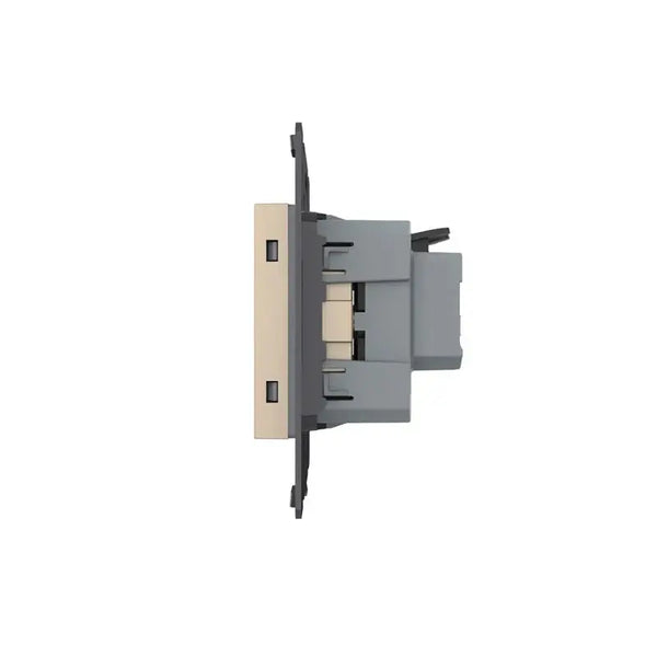 Livolo | Goud | SR | Module | Wandcontactdoos Livolo Nederland B.V.