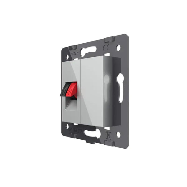 Livolo | Grijs | SR | Audio insteek | Blindplaat Livolo Nederland B.V.