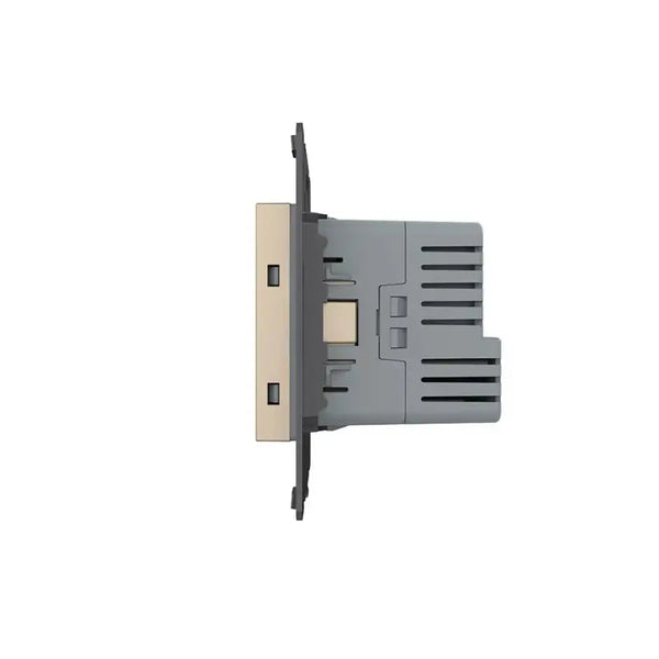 Livolo | Goud | SR | Module | Wandcontactdoos + USB-C Oplader Livolo Nederland B.V.