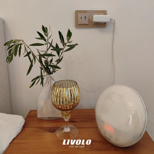 Stopcontacten-met-oplader-USB-C Design schakelmateriaal