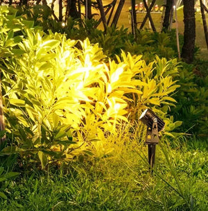 Complete Tuinspot Set | Tuinverlichting 12V | Plug and Play | 4 Tuinspots | Warm/wit Livolo Nederland B.V.