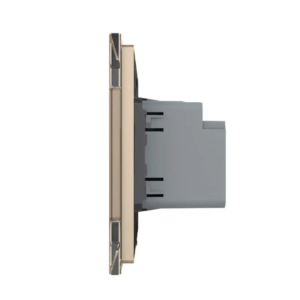 Livolo | Goud | SR | USB + USB type C oplader Livolo Nederland B.V.