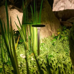 Staande prikspot | Tuinverlichting 12V | Plug and Play |  IP54 | Warm/wit Livolo Nederland B.V.