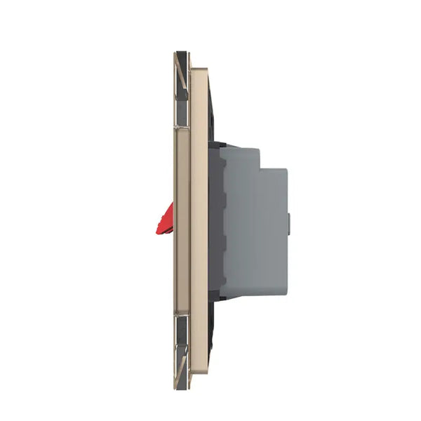 Livolo | Goud | SR | Audio insteek | Audio insteek Livolo Nederland B.V.