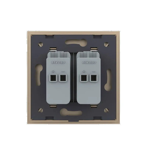 Livolo | Goud | SR | Audio insteek | Audio insteek Livolo Nederland B.V.