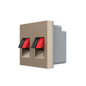 Gouden dubbele audio insteekmodule voor nette wandmontage van luidsprekerbekabeling