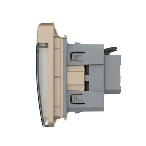 Livolo | Goud | SR | Module | Wandcontactdoos | IP44 Livolo Nederland B.V.