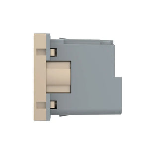 Gouden Livolo slimme wandcontactdoos voor modulaire SR glasplaat
