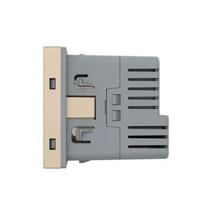 Livolo | Goud | SR | Module | Wandcontactdoos + USB-C Oplader Livolo Nederland B.V.
