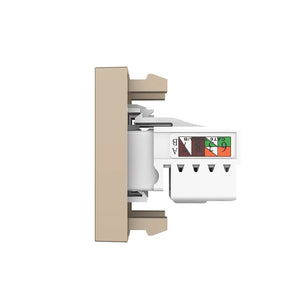 Gouden multimedia wandmodule met RJ11 en RJ45 Cat6 voor netwerk en vaste telefoon