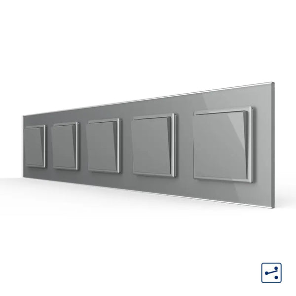 Livolo | Grijs | 1+1+1+1+1 | Aan/Uit | Wissel | Wipschakelaar Livolo Nederland B.V.
