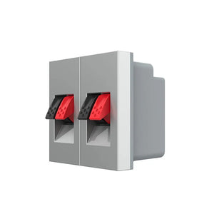 Grijze dubbele audio insteekmodule voor nette wandmontage van luidsprekerbekabeling