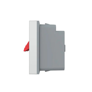 Grijze speaker wandmodule met twee insteek aansluitingen voor een vaste audio-installatie