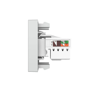 Grijze multimedia wandmodule met RJ11 en RJ45 Cat6 voor netwerk en vaste telefoon