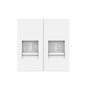 Witte RJ11 telefoon en RJ45 Cat6 netwerk aansluiting gecombineerd in één wandmodule