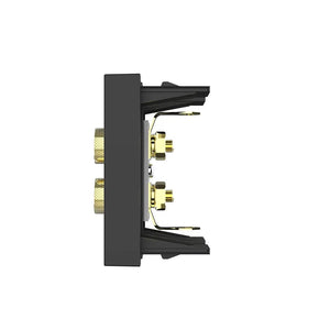 Zwarte luidspreker wandmodule met banaanstekker en blindplaat voor home cinema of hifi