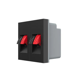 Zwarte dubbele audio insteekmodule voor nette wandmontage van luidsprekerbekabeling