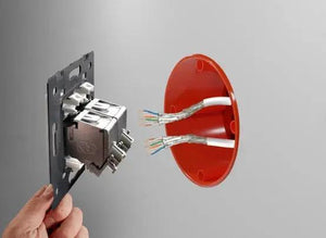 Livolo | Zwart | SR | Enkel | Netwerk - RJ45 | Cat.6A Livolo Nederland B.V.