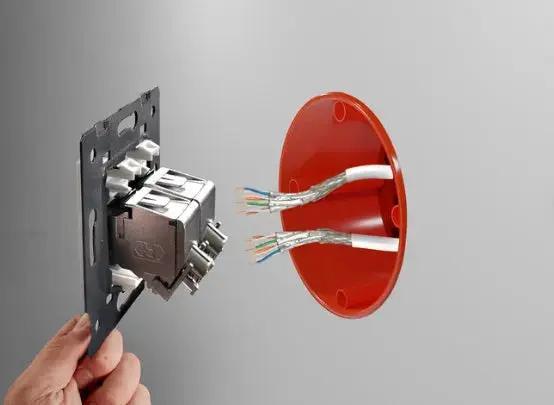 Livolo | Zwart | SR | Enkel | Netwerk - RJ45 | Cat.6A Livolo Nederland B.V.