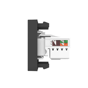 Zwarte multimedia wandmodule met RJ11 en RJ45 Cat6 voor netwerk en vaste telefoon